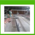 MT broiler chicken poultry floor feeding